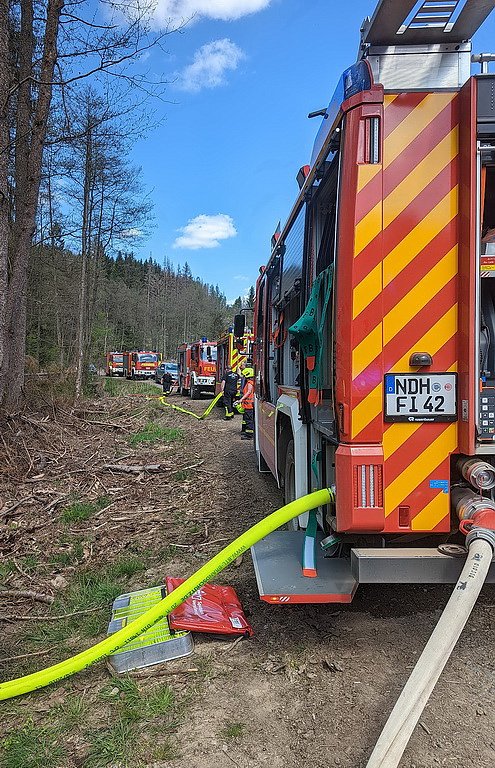 Waldbrand im Birkenmoor