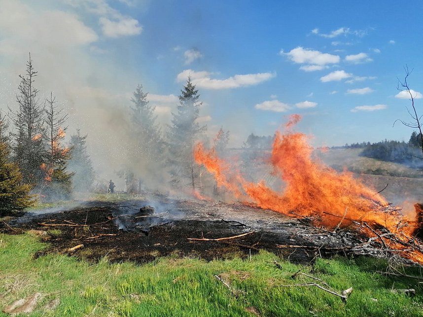 Waldbrand im Birkenmoor