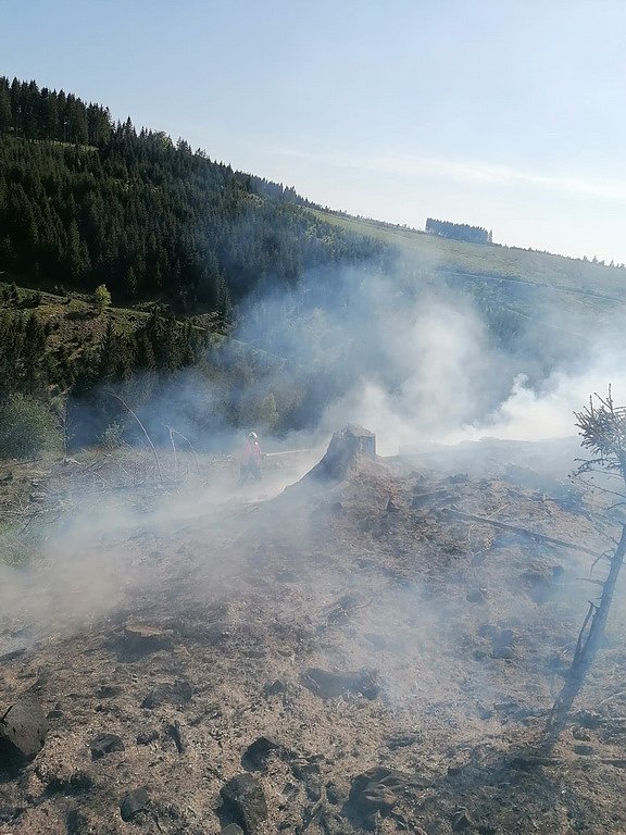 Waldbrand im Birkenmoor