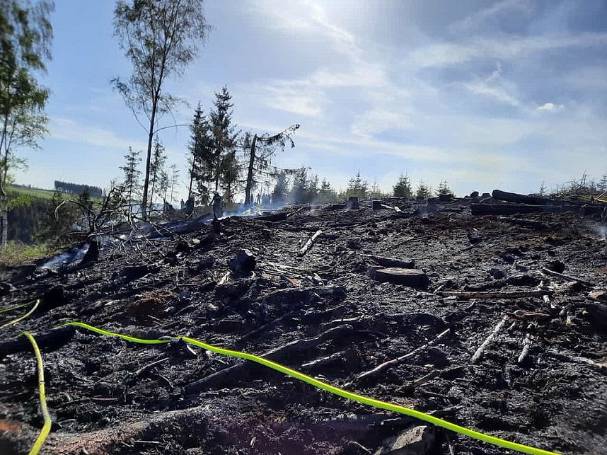 Waldbrand im Birkenmoor