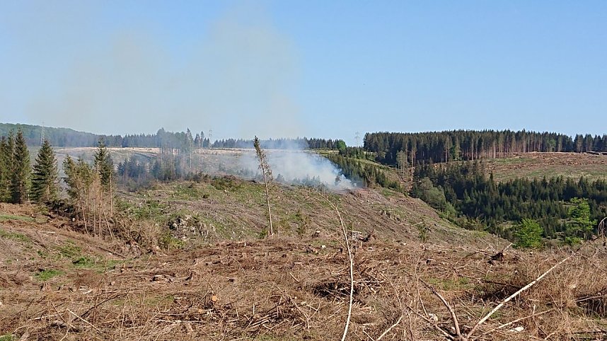 Waldbrand im Birkenmoor