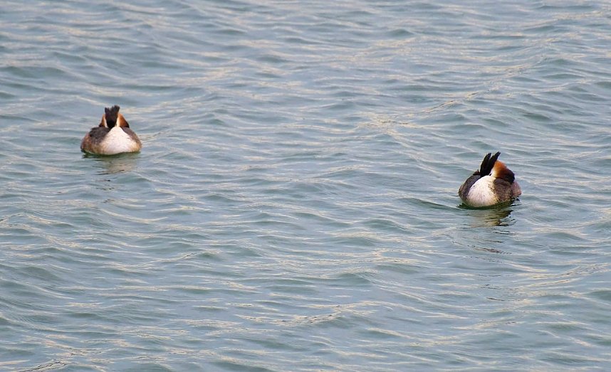 Peter Blei unterwegs am Stausee Kelbra