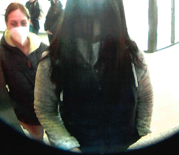 Wer erkennt die T&auml;terinnen 