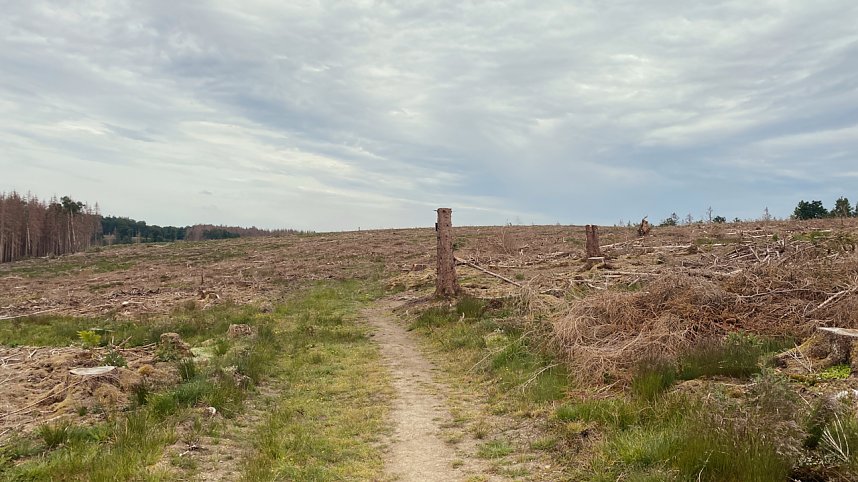 Eindr&uuml;cke aus dem Oberharzzwischen Trautenstein und Sophienhof