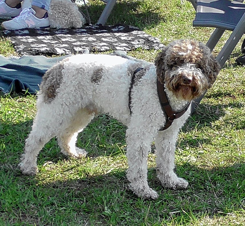Clubschau am Stausee