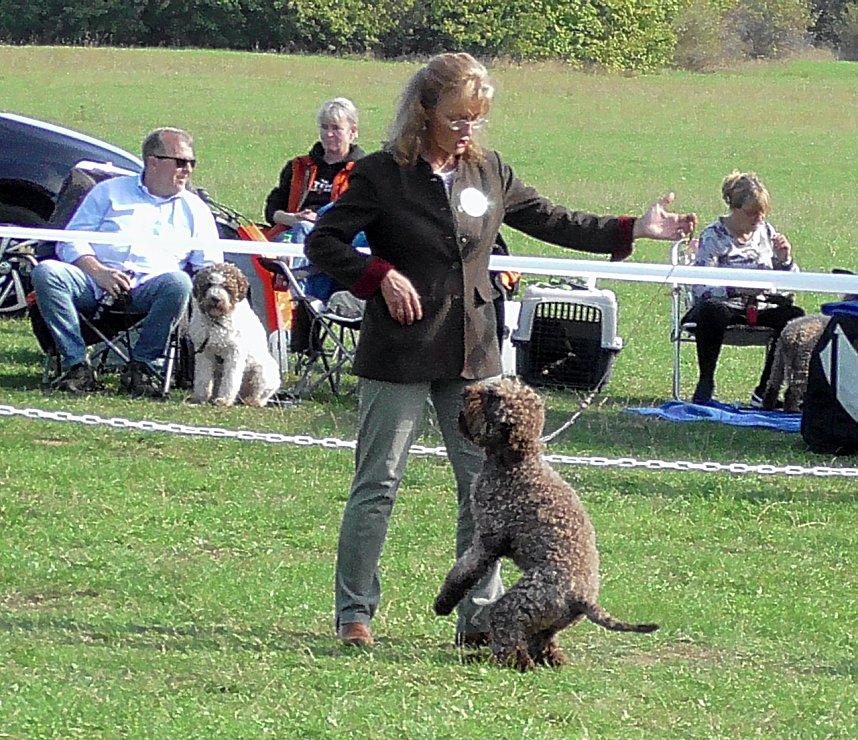 Clubschau am Stausee