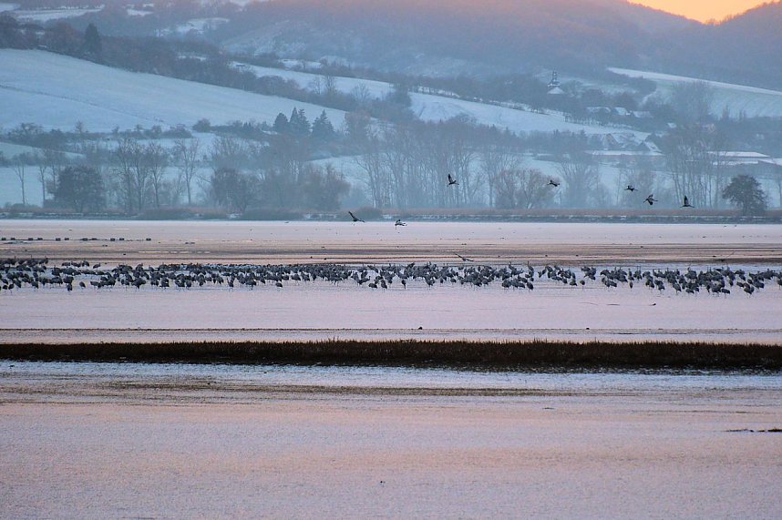 Peter Blei unterwegs im Schnee