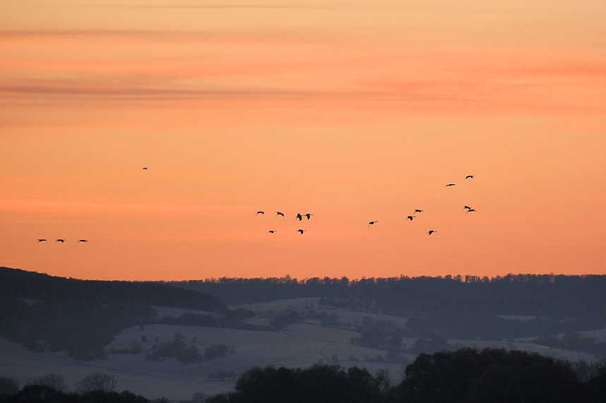 Peter Blei unterwegs im Schnee