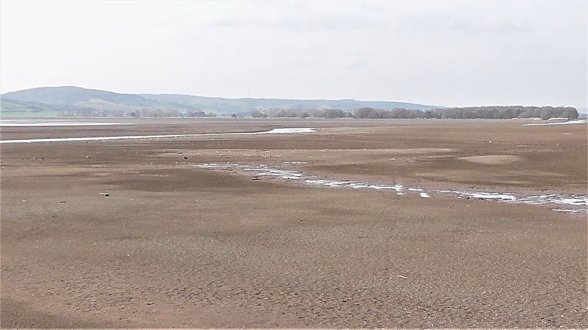 G&auml;hnende Leere im Stausee Kelbra
