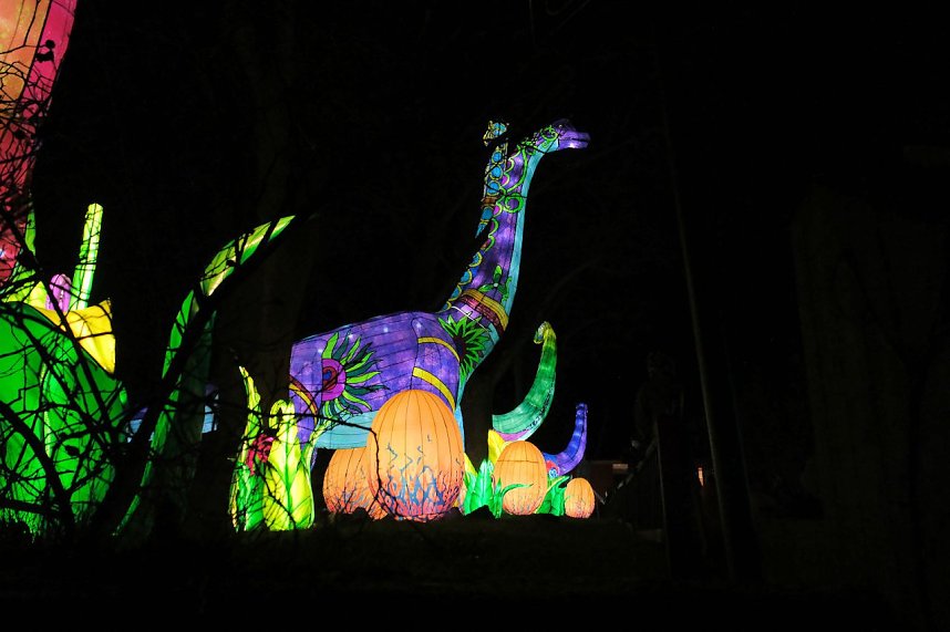 Peter Blei in den magischen Lichterwelten