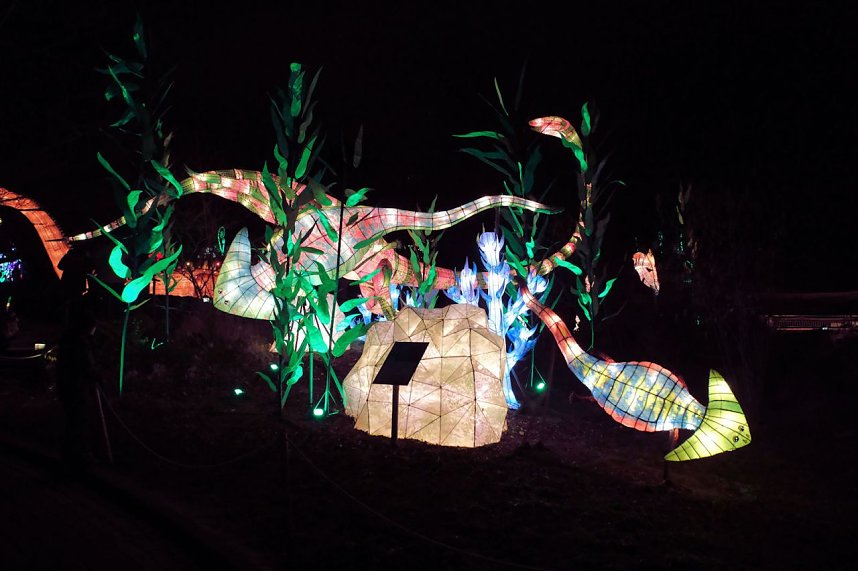 Peter Blei in den magischen Lichterwelten