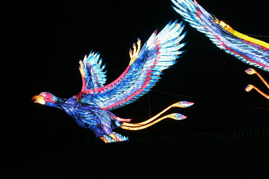 Peter Blei in den magischen Lichterwelten