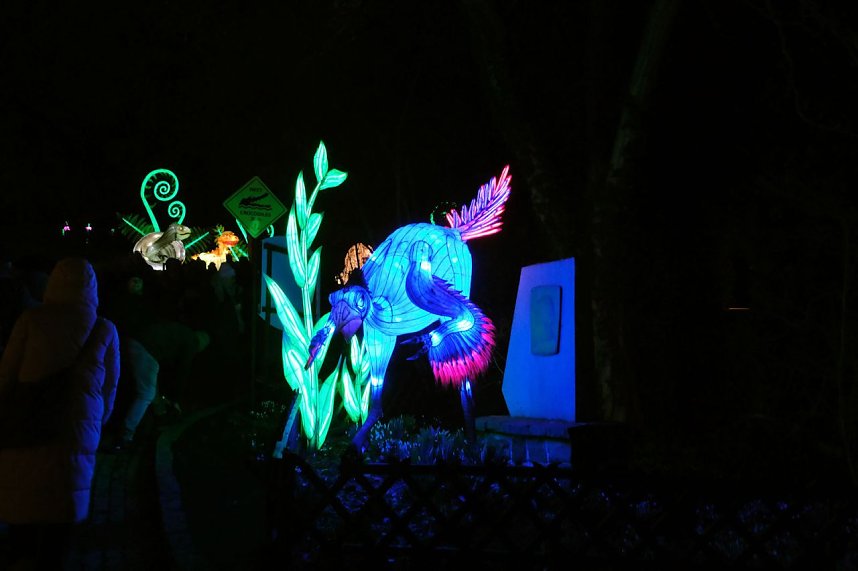 Peter Blei in den magischen Lichterwelten