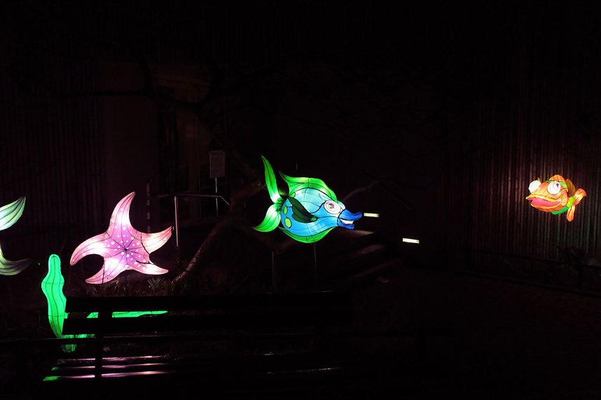 Peter Blei in den magischen Lichterwelten