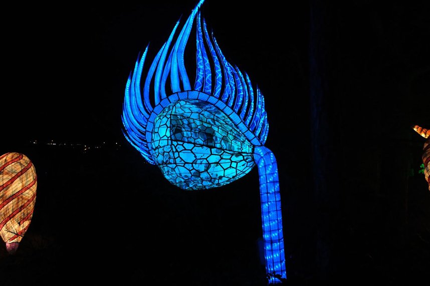 Peter Blei in den magischen Lichterwelten