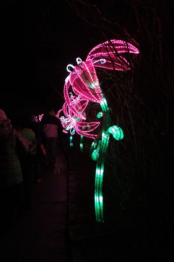 Peter Blei in den magischen Lichterwelten