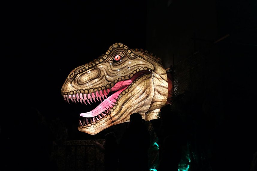 Peter Blei in den magischen Lichterwelten