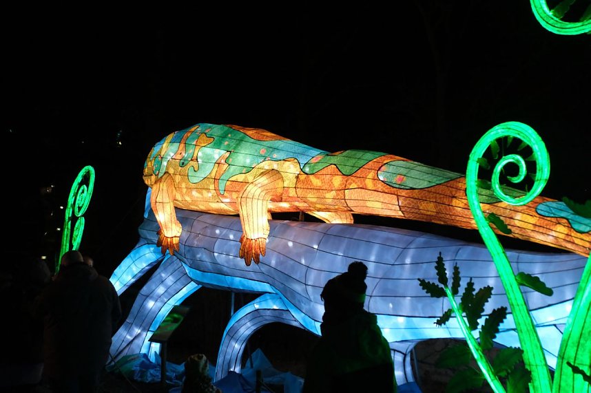 Peter Blei in den magischen Lichterwelten