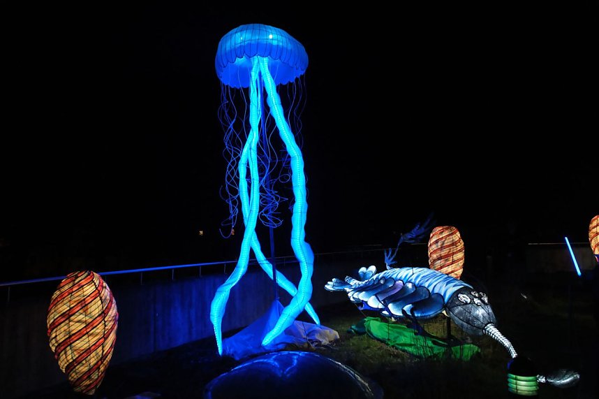 Peter Blei in den magischen Lichterwelten