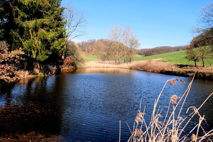 Osterspaziergang im Vorharz