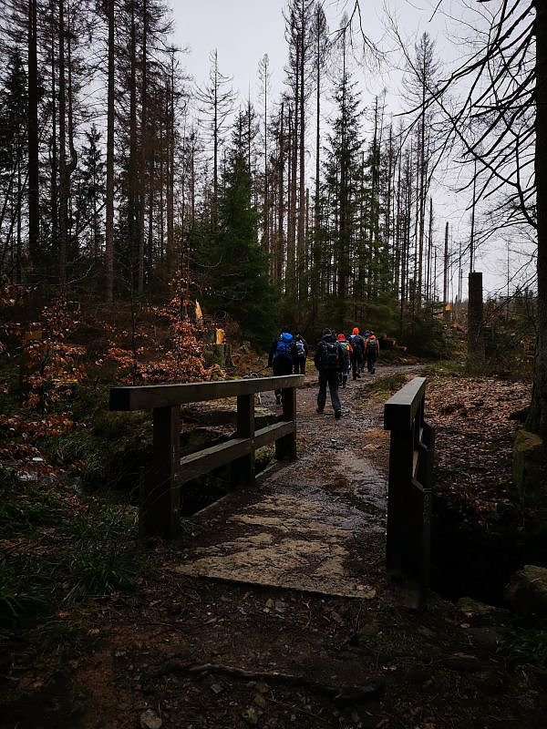 Jour Fixe im Nationalpark mit Sara Wegrzyk