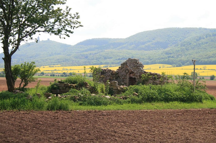 Die W&uuml;stung Lindenschu