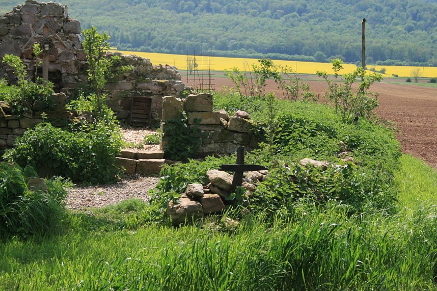 Die W&uuml;stung Lindenschu