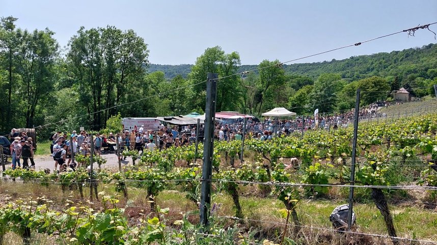 Unterwegs auf der Saale-Weinmeile
