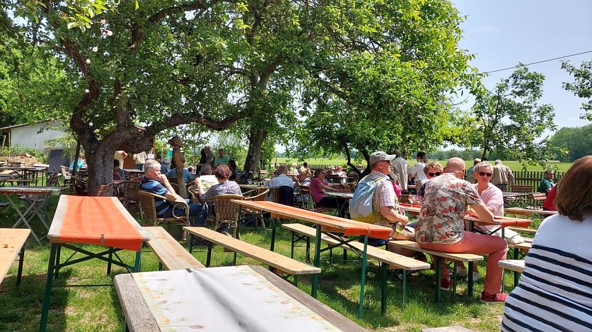 Unterwegs auf der Saale-Weinmeile