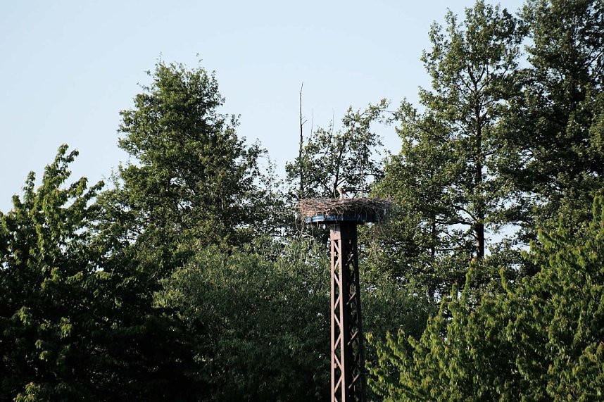 Am Stausee in Kelbra