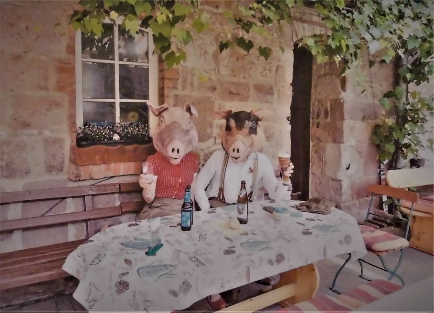 Herr Eber und Frau Sau sind unterwegs