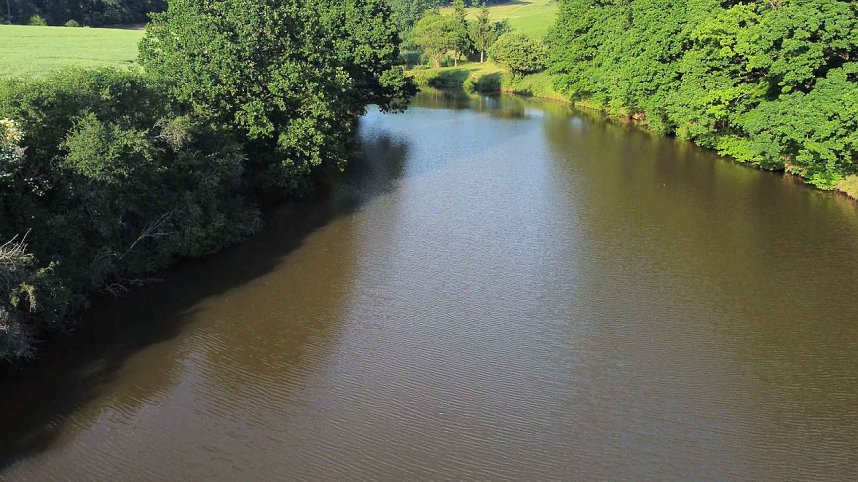 Die Wunder der Natur eingefangen von der Kamera