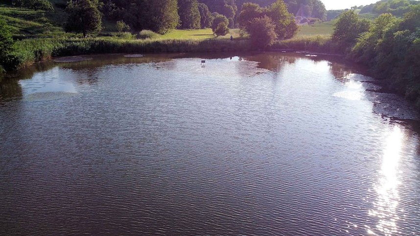 Die Wunder der Natur eingefangen von der Kamera