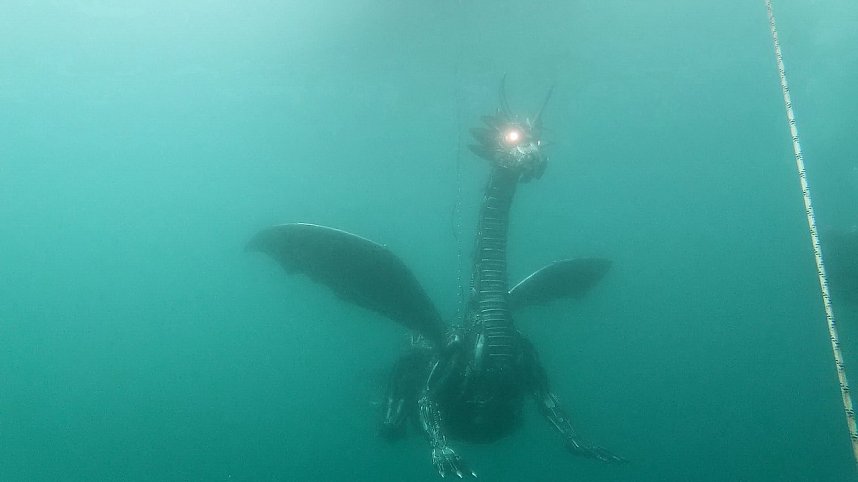 Drachen-Alarm am Sundh&auml;user Kiesteich