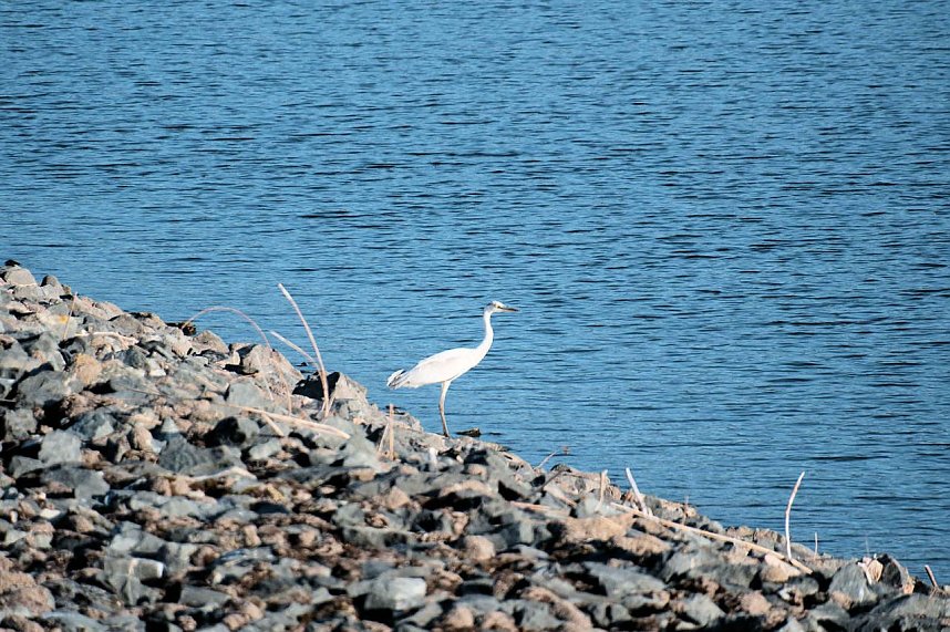 Peter Blei unterwegs im Vogelparadies