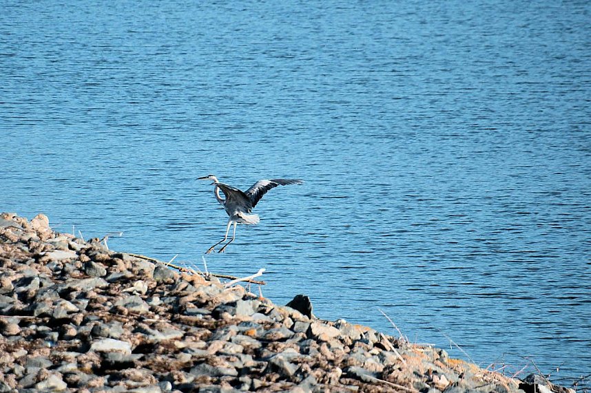 Peter Blei unterwegs im Vogelparadies