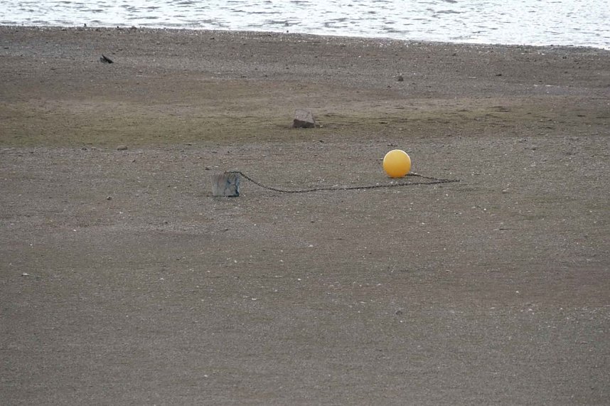 Peter Blei am neuen Aussichtsturm bei Kelbra