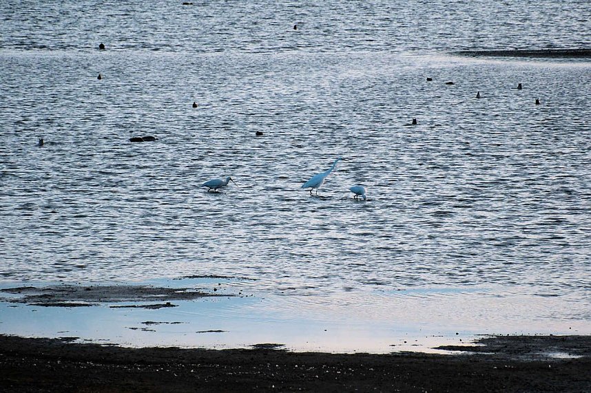 Peter Blei am neuen Aussichtsturm bei Kelbra