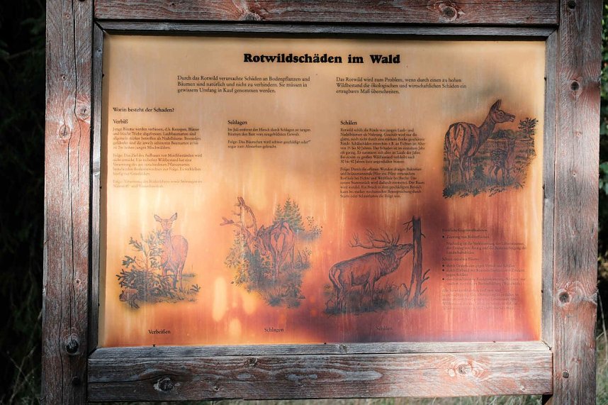 In Rothes&uuml;tte und am Stausee Kelbra