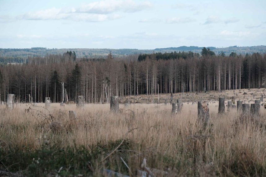 In Rothes&uuml;tte und am Stausee Kelbra