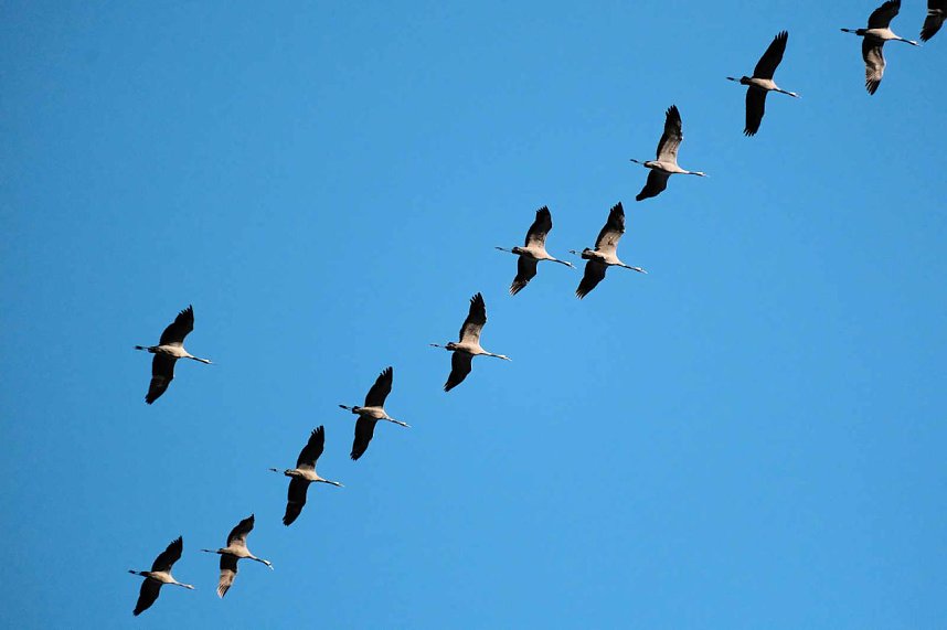 In Rothes&uuml;tte und am Stausee Kelbra