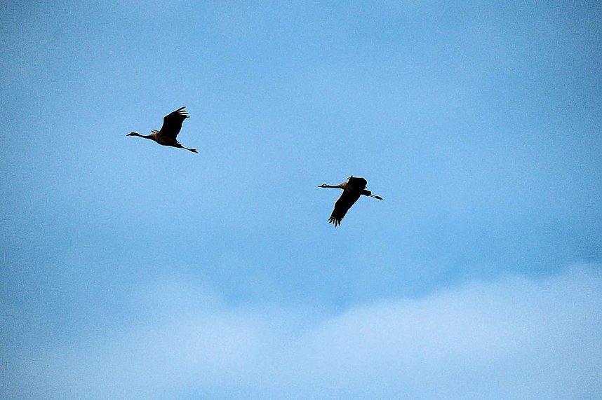 In Rothes&uuml;tte und am Stausee Kelbra