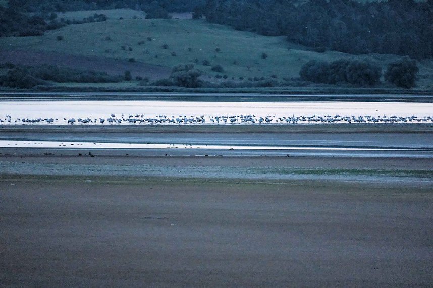 In Rothes&uuml;tte und am Stausee Kelbra