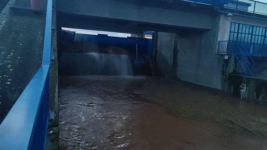 Voller Stausee bei Kelbra