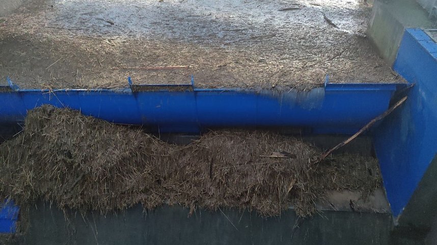 Voller Stausee bei Kelbra