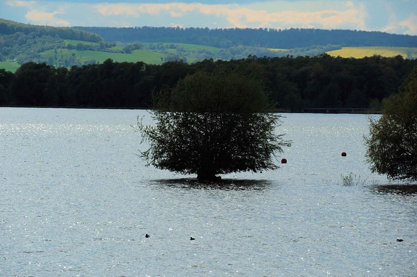 Flora und Fauna am Stausee Kelbra
