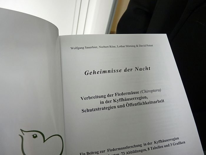 Geheimnisse der Nacht