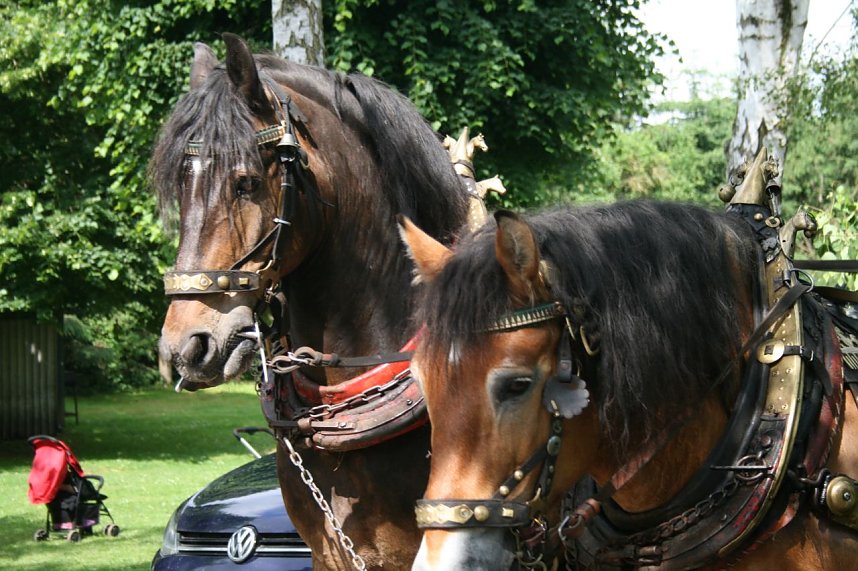 Umzug in B&ouml;senrode 