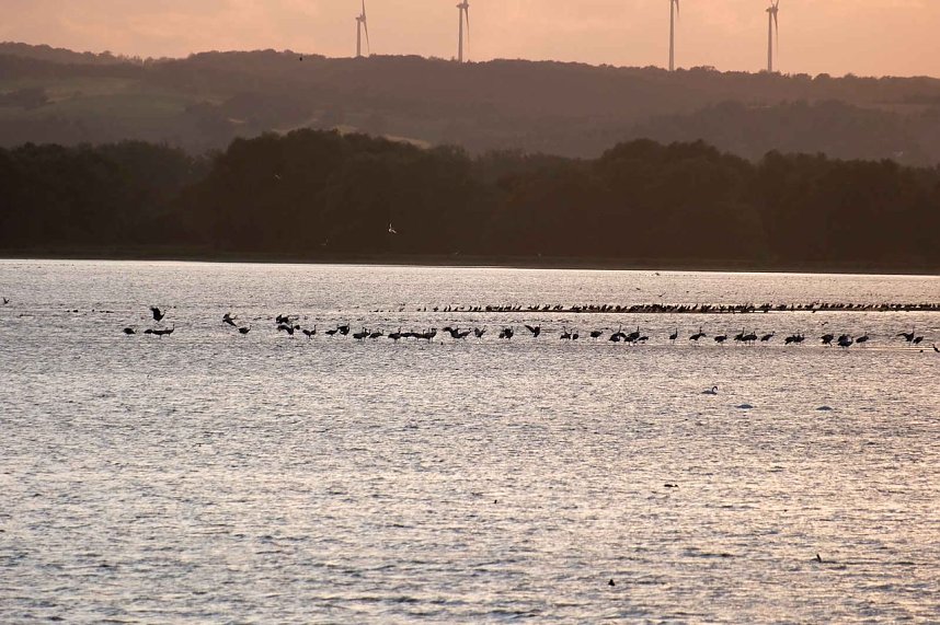 Erster Besuch der Saison