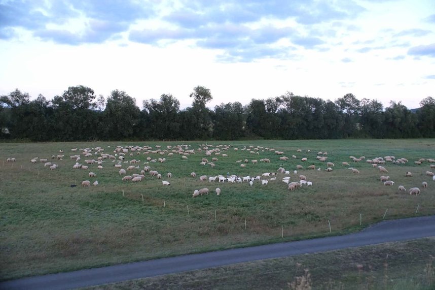 Erster Besuch der Saison